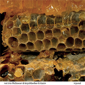 NOT Trio – Injured