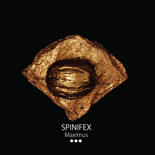 Spinifex – Maximus