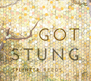 Splinter Reeds – Got Stung
